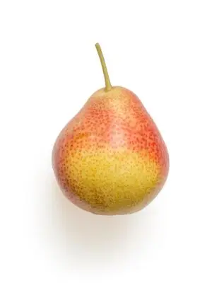pear, fruit, food